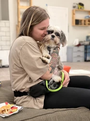 Catalyst Dog Training in San Antonio Texas